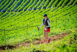 BIB: 
                            <button type="button" onclick="openModal(19161575)" class="btn btn-primary btn-sm float-right btn-popup" data-toggle="modal" data-target=".modal-high-quality">
                        <i class="fas fa-shopping-cart"></i> Add to Cart
                    </button>
                                            <button type="button" onclick="isThisMe(19161575, true)" class="btn btn-success btn-sm float-right btn-popup btn-isme hidden" data-toggle="tooltip" data-placement="bottom" title="นี่คือรูปของคุณใช่ไหม คลิกที่นี่เพื่อเอาเข้าอัลบั้ม">
                        <i class="fas fa-plus"></i> Add to album
                    </button>
                    <button type="button" onclick="isThisMe(19161575, false)" class="btn btn-warning btn-sm float-right btn-popup btn-isnotme hidden">
                        <i class="fas fa-ban"></i> Remove from album
                    </button>